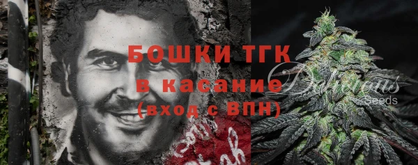 ГАЛЛЮЦИНОГЕННЫЕ ГРИБЫ Аркадак