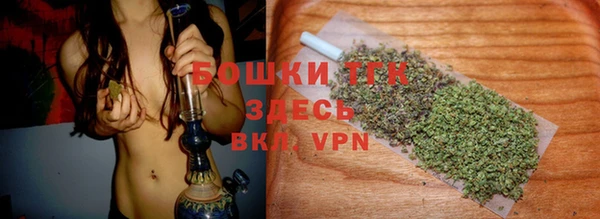 ГАЛЛЮЦИНОГЕННЫЕ ГРИБЫ Аркадак